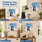 🛒 Offre limitée : –50 % ! 🐶 Calendrier mural 2027 teckels espiègles – Fini les calendriers ternes et les dates oubliées – 12 mois d'humour, grandes cases, reliure double fil – Idéal pour cuisine, bureau et cadeaux 🎁